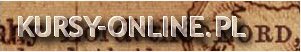 nauka norweskiego przez internet